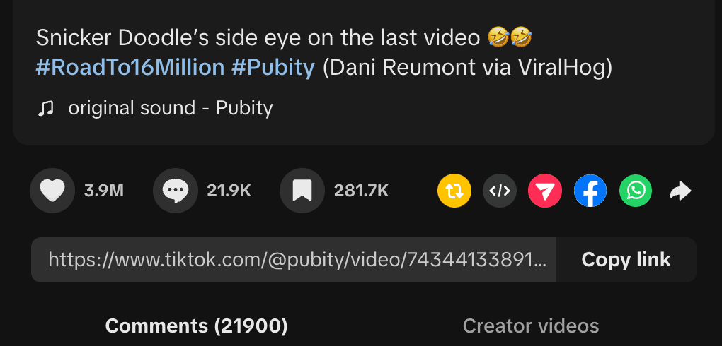 Copy Video URL